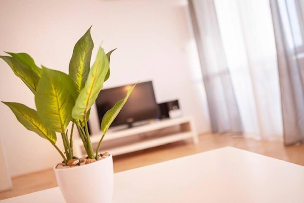 Sea City View W/ 2Bd 1Bt Free Street Parking Rijeka Exteriör bild
